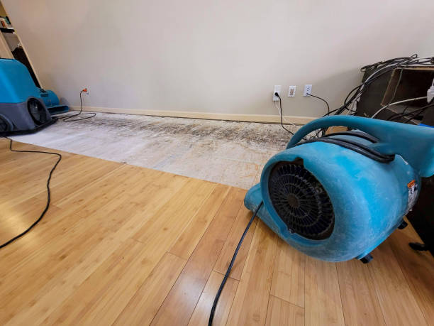 Professional Burst Pipe Water Damage technician working in Caledonia, MS
